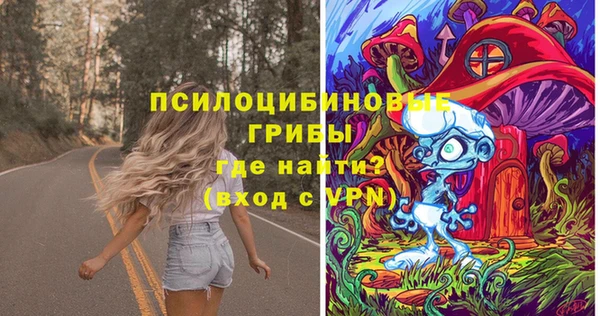 Альфа ПВП Гусь-Хрустальный