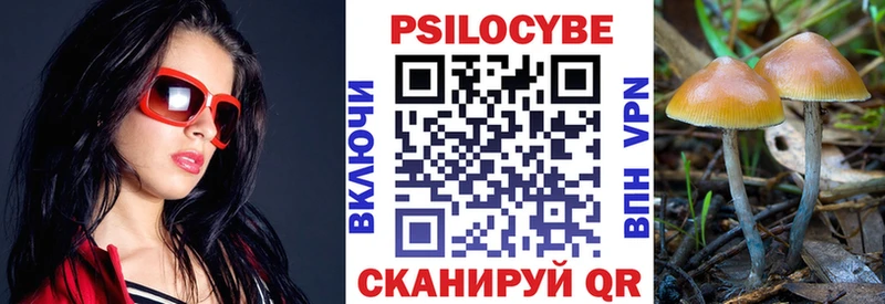 наркотики Сысерть Галлюциногенные грибы мицелий
